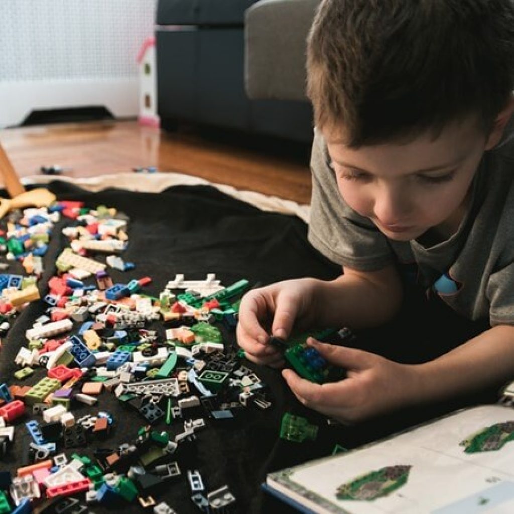 Making lego creations from an inspiration book.
